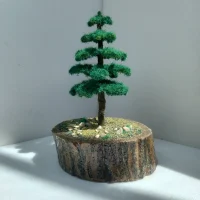 ماکت بونسای رومیزی مدل کاج نمای کنار